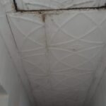 WhatsApp Image 2024-02-26 at 14.24.38 (1)