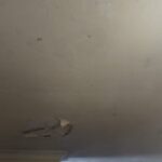 WhatsApp Image 2024-02-26 at 14.24.38