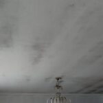 WhatsApp Image 2024-02-26 at 14.24.39