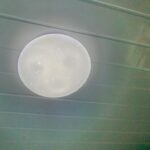 WhatsApp Image 2024-02-26 at 14.26.12 (1)