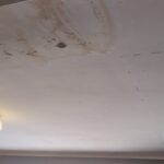 WhatsApp Image 2024-02-26 at 14.26.20 (2)