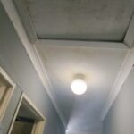 WhatsApp Image 2024-02-26 at 14.26.21 (1)