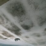 WhatsApp Image 2024-02-26 at 14.26.21