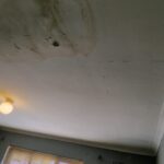 WhatsApp Image 2024-02-26 at 14.26.21 (2)